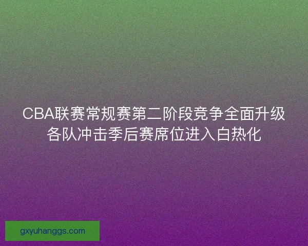 CBA联赛常规赛第二阶段竞争全面升级各队冲击季后赛席位进入白热化